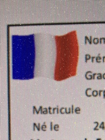 BOULEAU GEORGES