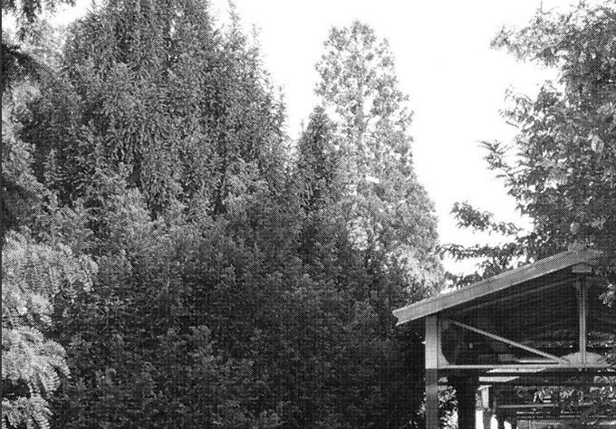 Pavillon Morin-Goustiaux,@PauldeGreslan in mémoire